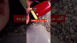 تعرف ايه عن بيف Bordon 