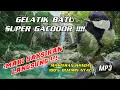 Download Lagu GELATIK BATU SUPER GACOR MASTERAN TERAPI AIR MENGALIR