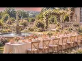 Bridgerton Ambience | Daphne's 19th Garden Tea Party 💐| Regency ASMR | study, water, pop orchestra