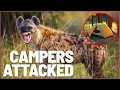Lagu Hyena Horror: Nightmare Camping Attack On The Zambezi River | Wonder