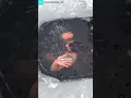 Download Lagu Bijna bevroren onder het ijs😱❗️