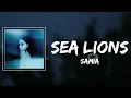 Samia - Sea Lions Lyrics