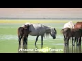 Lagu ♫ БЕЗ ГРАНИЦ♫ Музыка Сергей Грищук ♫