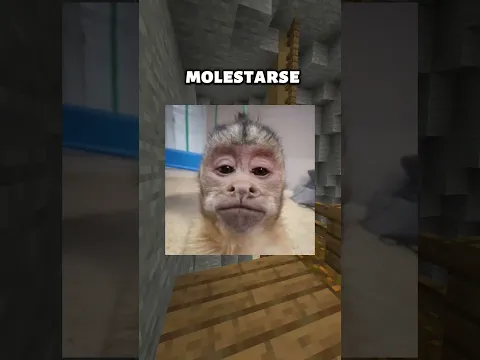 😅 TU MEJOR AMIGO TAMBIEN TE CAIA MAL ?? #shorts #amigos #minecraft