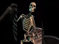 Lagu SkyRim Skeleton