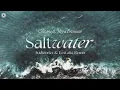 Chicane ft. Moya Brennan - Saltwater (Audiotricz & Ecstatic Remix) | Q-dance Records