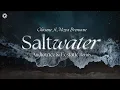 Download Lagu Chicane ft. Moya Brennan - Saltwater (Audiotricz \u0026 Ecstatic Remix) | Q-dance Records