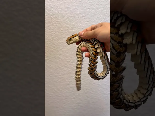 Articulated Rattlesnake | Pre-Painted + Optional 8mm Glass Eye Version video thumbnail