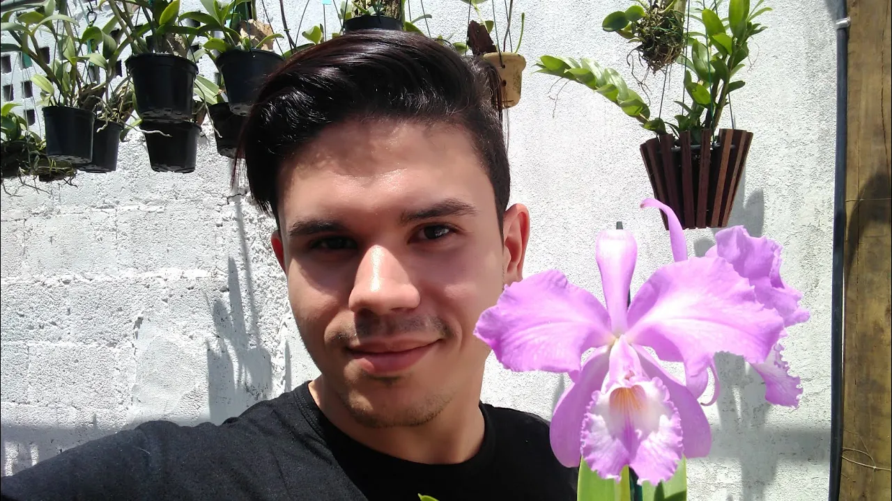 FLORAÇÃO DE ORQUÍDEAS EM MEU ORQUIDÁRIO 10 MIL INSCRITOS NO CANAL