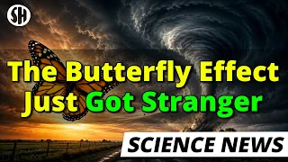 This New Result Changes What We Know About The Butterfly Effect