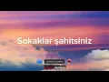 Bayhan - Tiryakinim (Sözleri/Lyrics) Şarkı Sözleri