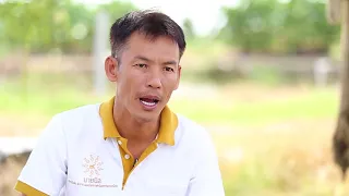ปลานิล: ปัญหาและวิธีการแก้ไข