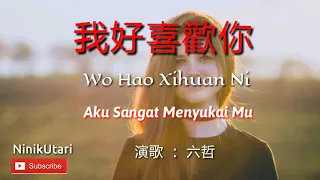 wo hao xi huan ni aku sangat menyukai mu