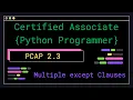 PCAP 2 3 - Multiple except Clauses