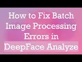 How to Fix Batch Image Processing Errors in DeepFace Analyze