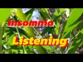 Download Lagu Musik pengantar tidur l Suara air mengalir l Relaksasi l insomnia pengantar tidur
