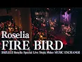Download Lagu 【公式ライブ映像】Roselia「FIRE BIRD」（Roselia Special Live「Stolz」より） MP3