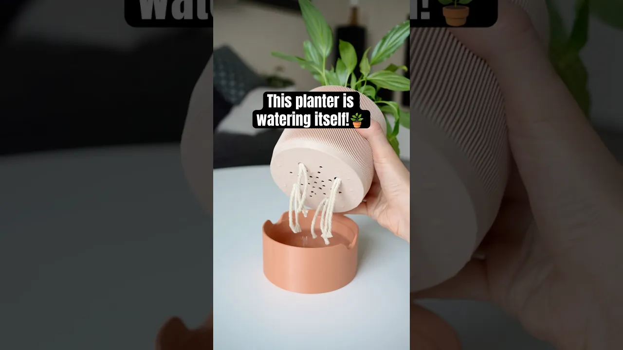 RILLIA self-watering planter video thumbnail