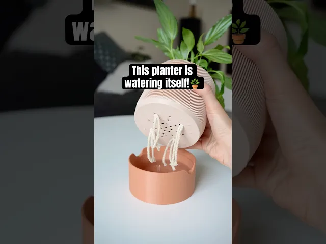 RILLIA self-watering planter video thumbnail