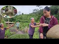 Download Lagu Being chased away, Mr. Ha's wife came to find him but was chased away by her mother-in-law