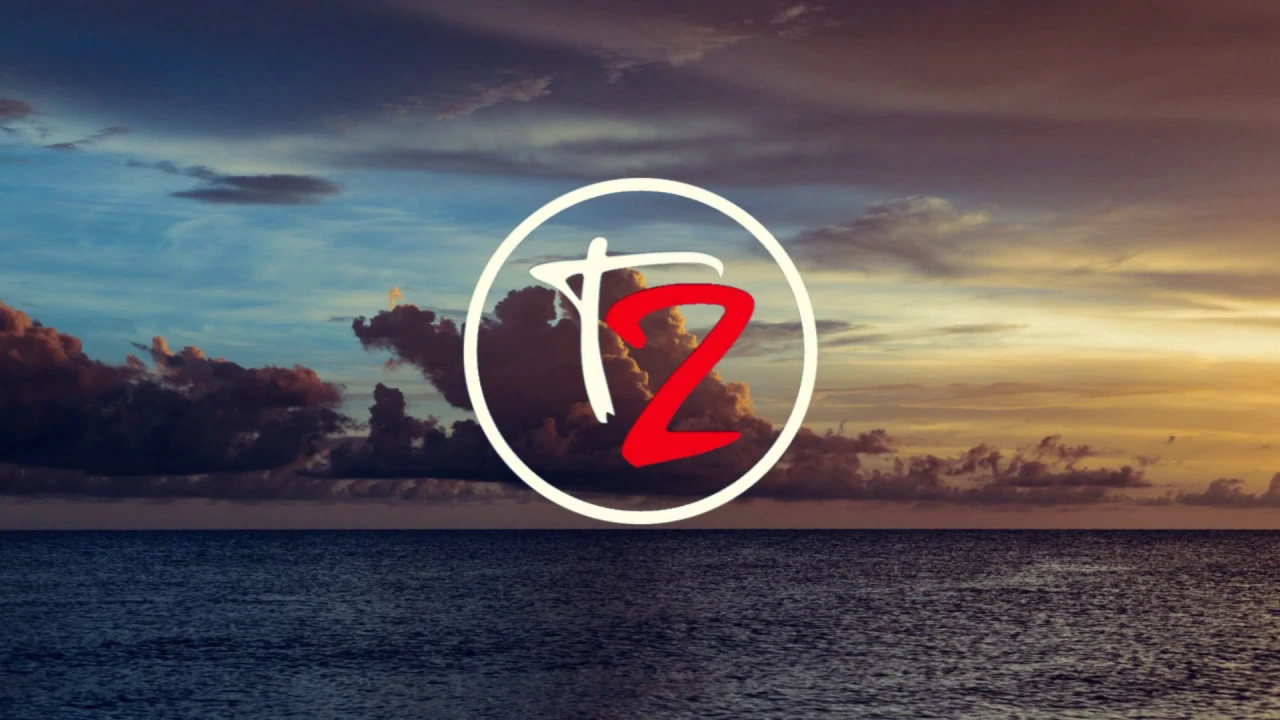 TonyZ - Paradox (Classic Alan Walker Style) TonyZ - Paradox (Classic Alan Walker Style)