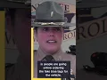 Which Tennessee license plate is fake How to spot the differences