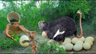 Download Use means with monkeys To deceive the ostrich - Cook Oatmeal Eggs for Monkeys to Eat MP3