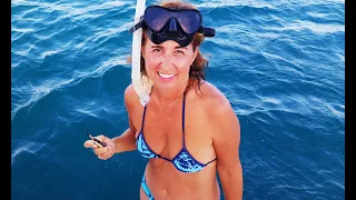 SAILING Again. AWESOME feeling to be sailing! Sailing Ocean Fox Ep 97