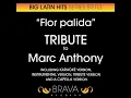 Flor Palida In The Style Of Marc Anthony (Karaoke Version)