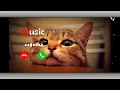 Pika Pi Pikachu Message Ringtone Cute Pikachu Message Ringtone