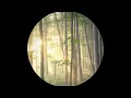 jamesjamesjames - J'adore [Stay on Sight Recordings]