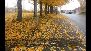 زمانگ ء وفا نے 