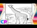 Wild Giraffe Walks on Fertile Process