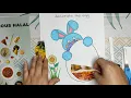 Easter Colouring for Kids - Decorating with Collage Coloring Pages Easter Bunny