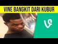 Demi Melawan AI, Vine Kembali Hidup
