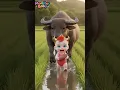 🐂bayi vs munding #baby #cute #cutebaby #funny #shorts_video #shorts  #cartoon