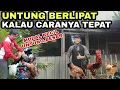 Download Lagu JENIS AYAM KAMPUNG YG TEPAT UNTUK KITA TERNAK