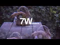 Addison Groove - Changa