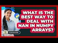 What Is The Best Way To Deal With NaN In NumPy Arrays - Python Code School