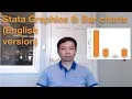 Stata Graphics 6 Bar chart English version