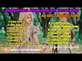 Download Lagu LAGU BUGIS VIRAL‼️PALING POPULER DI TIK TOK#2025 TERBARU FULL ALBUM 