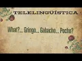 ENG What does Gingo Gabacho and Pocho mean and what is the origin 5