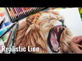 How to Draw a Lion with Coloured Pencils Prismacolor Tutorial
