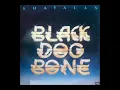 Download Lagu Black dog bone ada duit hati senang