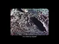 Cape Weather - Falling Asleep