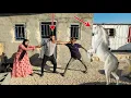 Download Lagu The Unlucky Lucky: Mr. Hassan Nomadic Family Lost Their Horse