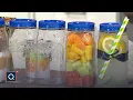 LocknLock Set of 6 4-Cup Twist Lid Mason Jars QVC