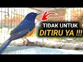Lagu JANGAN DI IKUTI CUKUP DIPAHAMI | DRK MURAI BATU TERBARU 