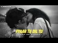 Pyar Tu Dil Tu Full Song [SLOWED REVERB] | Moonbliss Lofi
