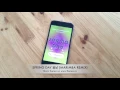 Download Lagu Spring Day 봄날 Ringtone (BTS 방탄소년단 KPop Marimba Tribute Remix Ringtone) • For iPhone \u0026 Android